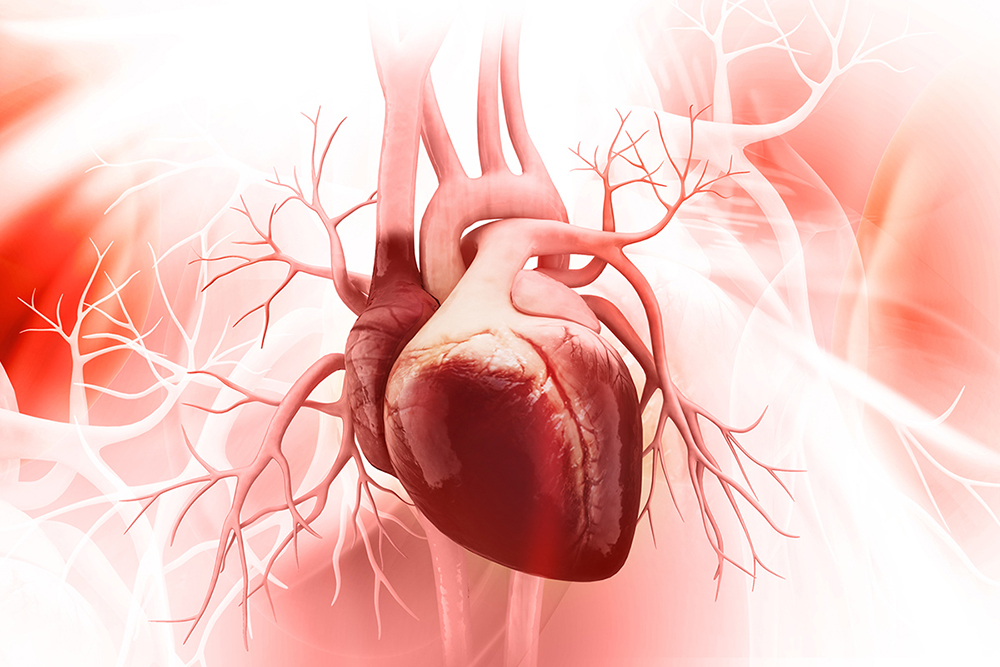 Aneurisma dell'aorta toracica: sintomi e cause