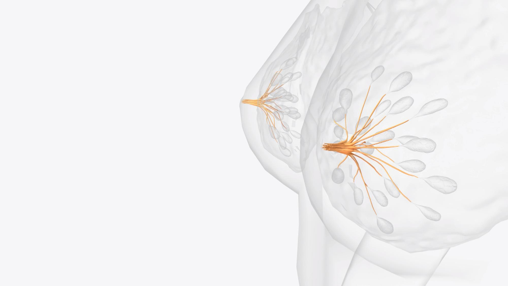 Sintomi di un dotto lattifero ostruito