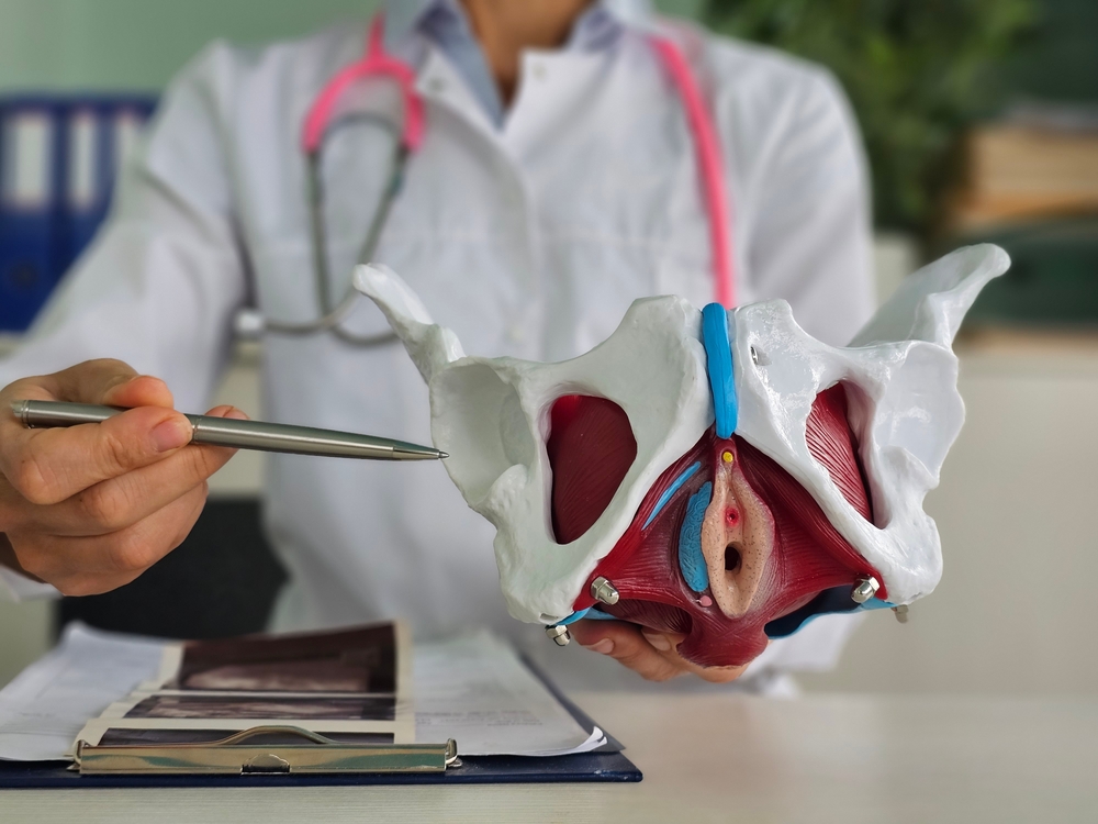 Riabilitazione del pavimento pelvico Roma EUR Torrino